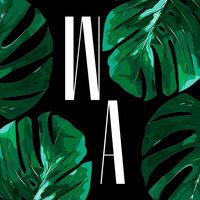 washiraa.art