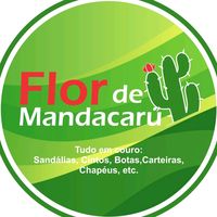 lojaflordemandacaru2