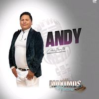 andytorres8435