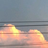 bas___2831