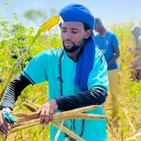 original sound - ilimane.ciss84