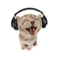 original sound - time2musicc