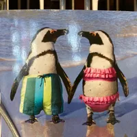 Whered all the time go