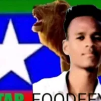 original sound - boqorka_star_foodey