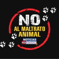 paniaguabelen849gmail