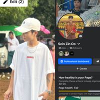 မူရင်းအသံ - Sein Zin Oo#အပေဲ🤩