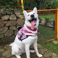 original sound - nube1702