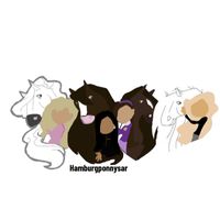 hamburgponnysar