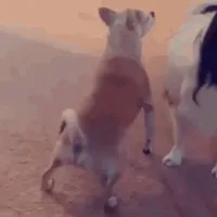 original sound - zairtriste