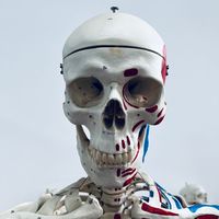 isarcxdaily