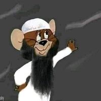 nageib.omer