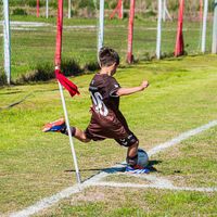 alessito.d11