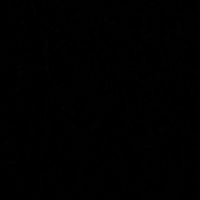 black_day_20