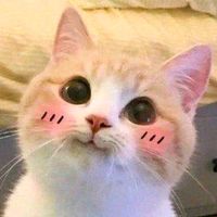 เสียงต้นฉบับ - นีโม่ ᰔᩚ