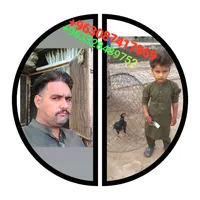 original sound - 0332rizwan