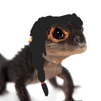 kibabanana