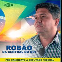 robao14