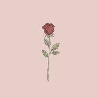 edits_fraces_detodo6