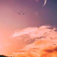 original sound - boavibe6