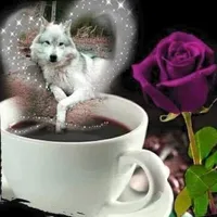 original sound - ilyjacobblack