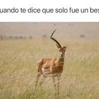 jorge.nitales03