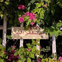 original sound - sheikabanise