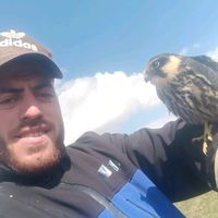 necatin.alkan