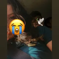 original sound - mipincessak