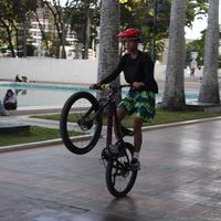 aram_wb