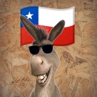 el.burro.chileno