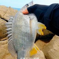 原聲