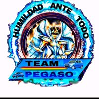 taxipegaso_seguro