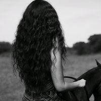 pecuaria_ofc