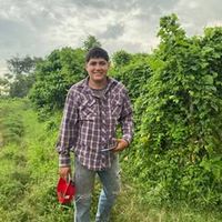 alexander.marroqu239