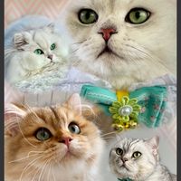 alkuperäinen ääni