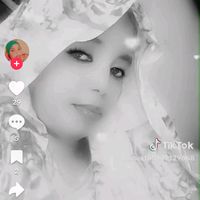 hadjo.ali