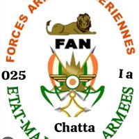 chatta025ia1
