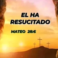 original sound - seijasgonza