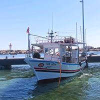 zayoudmouhib