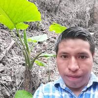 alex_ochog12