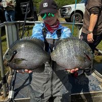 sarahthecloserparvin