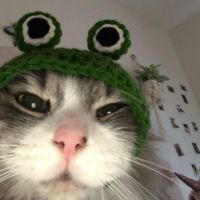 original sound - eepy rhin