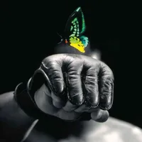 original sound - .lite_editz