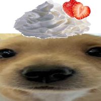 thienlovescrumblcookie