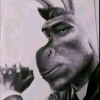 user_no_encontrado695