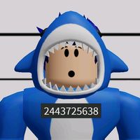 duo...robloxers