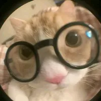 original sound - wsluud