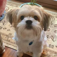 original sound - millennial32