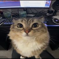 оригинальный звук