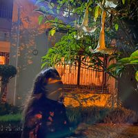 ghitabendali